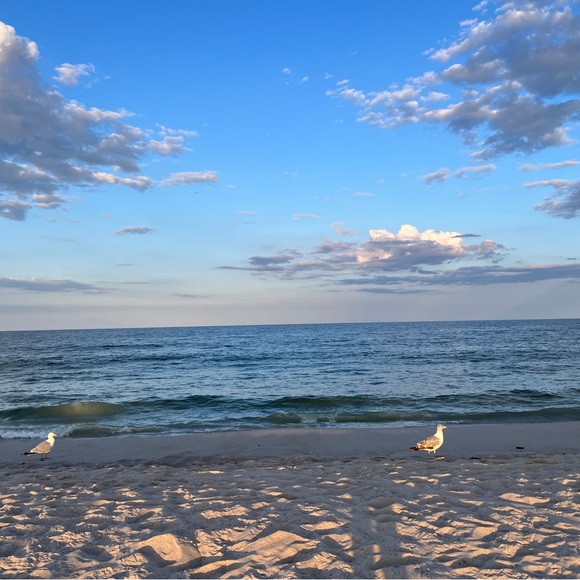 Meet your Posher, Lissyari - Picture 1 of 1